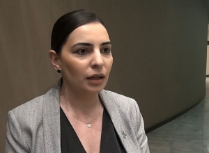 Թեհմինա Վարդանյանի ասուլիսը․ ՈՒՂԻՂ