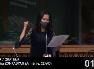 Առաջարկել եմ կասեցնել ԵԽ-ում ադրբեջանական պատվիրակության լիազորությունները․ Նաիրա Զոհրաբյան