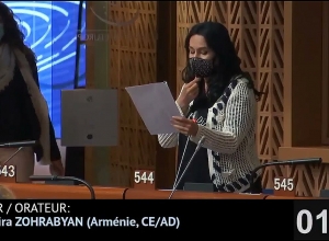 Заявление Алиева, что армян нужно гнать из Арцаха как собак, не может быть свободой слова: Зограбян