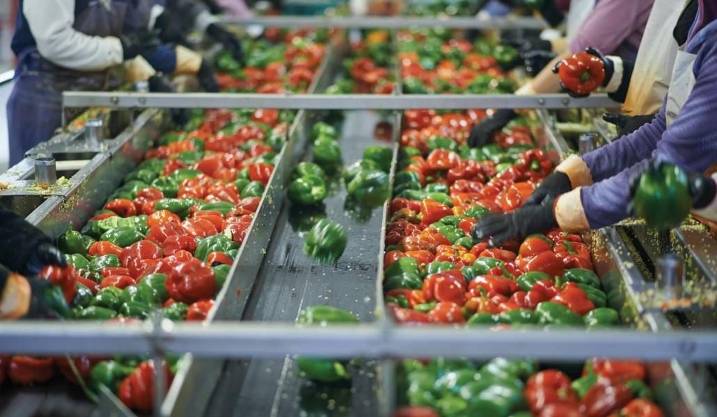 Պտուղ բանջարեղենի վերամշակում