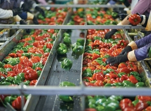 Սուբսիդավորման ծրագրերից օգտվողների շրջանակը կավելանա