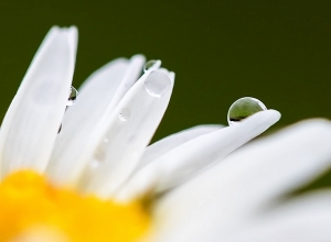 Մի փոքր զովանալու է