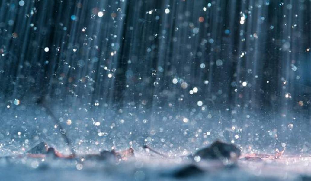 77b297e1bdc544b65233845213e9e9d0