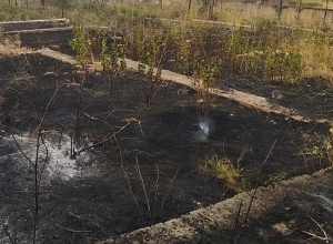 Ահազանգ է ստացվել, որ Երևանի Մուշավան թաղամասի ամառանոցներում տուն է այրվում