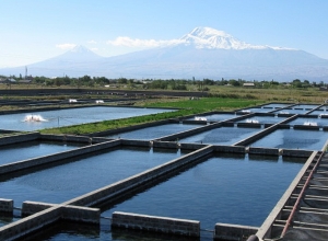 Ռ․ Պետրոսյանը Արարատի մարզի 7 խոշորագույն ձկնաբուծարանների հարցով դիմել է գլխավոր դատախազին