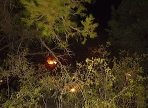 Հրդեհ Խոսրովի պետական արգելոցում. դեպքի վայր են մեկնել 5 մարտական հաշվարկ