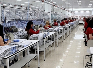 Կառավարությունը բավարարել է  «Ալեքս տեքստիլ» ՍՊԸ-ի հայտը՝ մաքսատուրքից ազատվելու համար