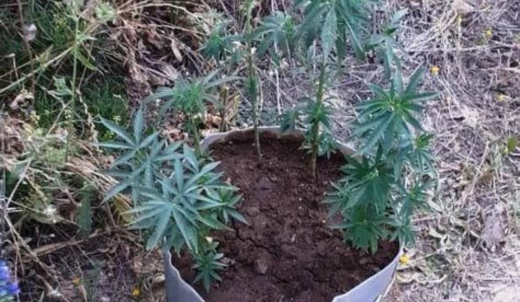 211984183_1389935408039666_628206312403081484_n