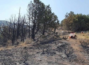 Խոսրովի պետական արգելոցի հրդեհը մեկուսացվել է