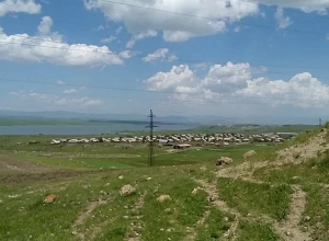 Ինքնասպան է եղել Իսահակյան գյուղի անասնաբույժը․ այս գյուղում սիբիրյան խոց է տարածված․ Առավոտ