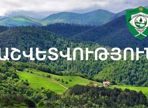 Շրջակա միջավայրին 9 օրում հասցվել է մոտ 40 մլն դրամի վնաս․ հաշվետվություն