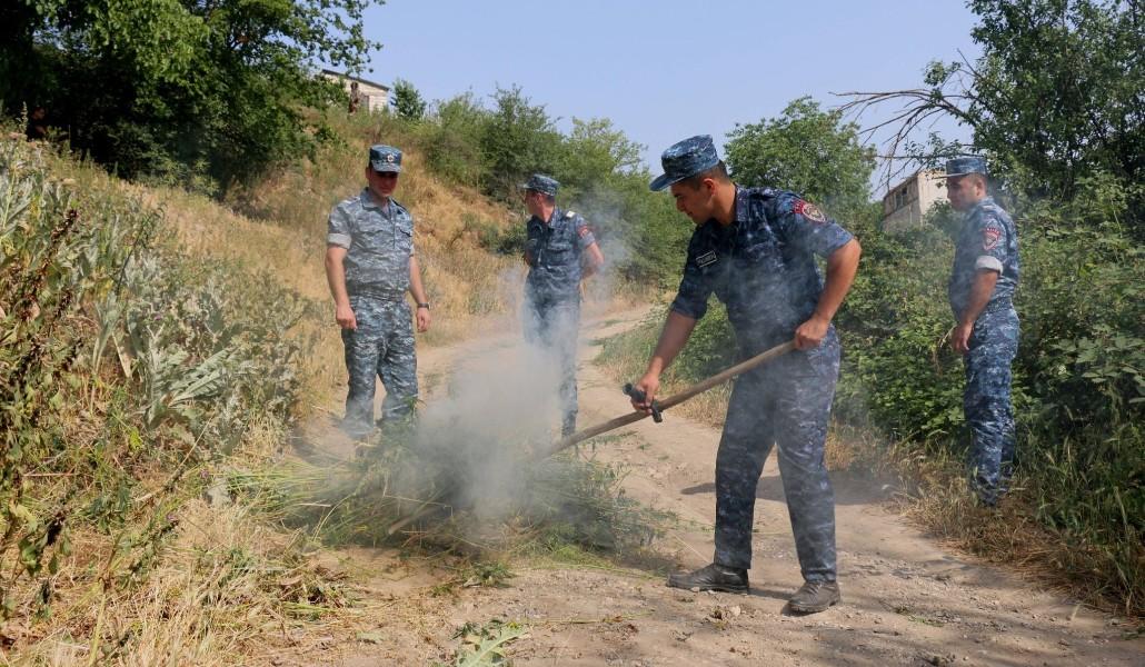 210436228_1390653757967831_239162657254840_n