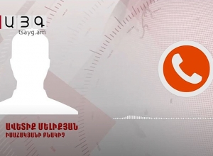 Կովը դաշտում ընկավ, գնացի մորթեցի, հիմա ես էլ եմ հիվանդ․ մանրամասներ Սիբիրյան խոցով վարակի տարածումից