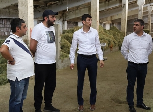 «Խելացի» անասնաշենքերի կառուցման ծրագրով փորձում ենք նոր մշակույթ ներդնել․ Էկոնոմիկայի փոխնախարար