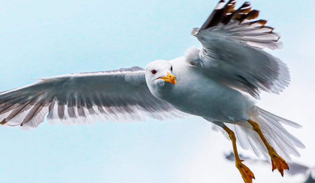 211749097_1130469450797203_9154049953799133408_n