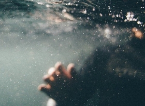 Սրտաձև լճում ջրահեղձվածի դին գտել են