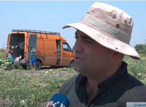 Արցախում 17 հա ձմերուկ և 13 հա սեխ է ցանվել