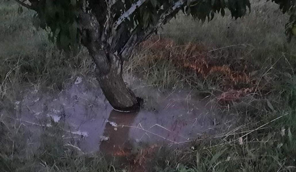 210294554_999326224151910_6977907189718490454_n