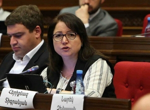 Совет НС отменил решение о назначении Эрикназ Тигранян