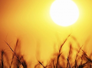 Ջերմաստիճանը կբարձրանա 3-5 աստիճանով