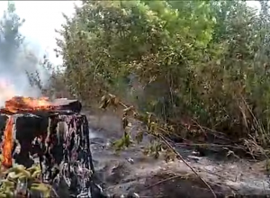 Տոլյատիում արտակարգ ռեժիմ է մտցվել լայնածավալ անտառային հրդեհի պատճառով