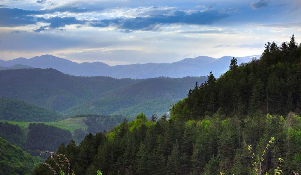 217622802_2794335257481819_7585375122096060491_n