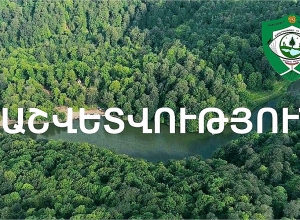 ԲԸՏՄ-ն՝ հունիսի 28-ից հուլիսի 9-ն կատարված աշխատանքների վերաբերյալ