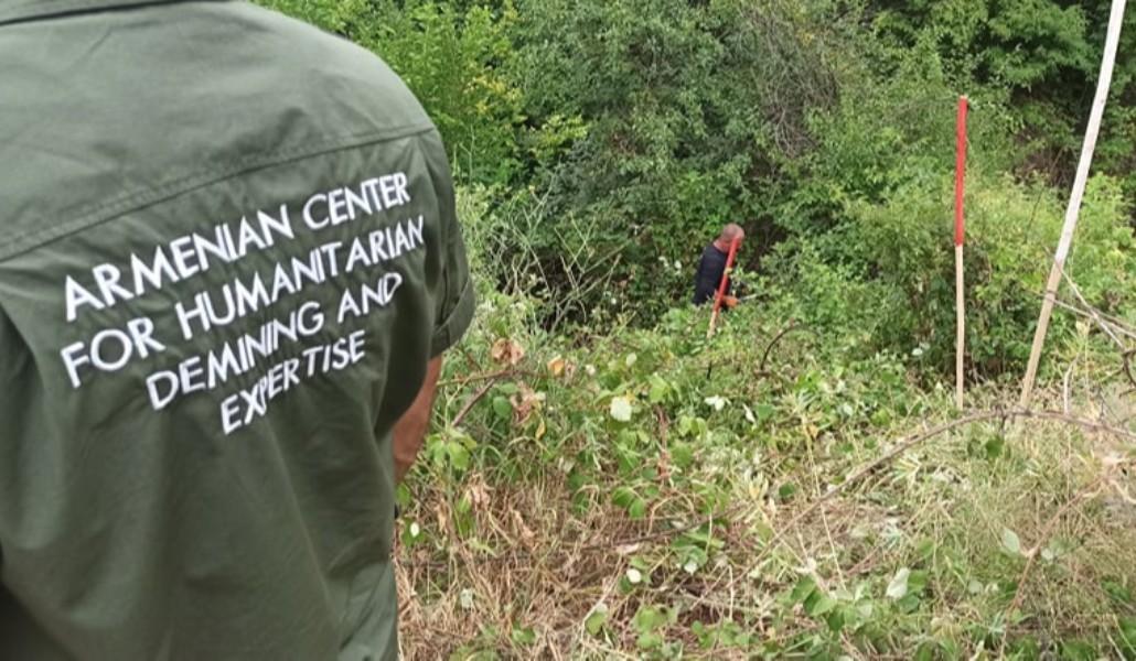 217765871_220089853315670_2432390240373442544_n