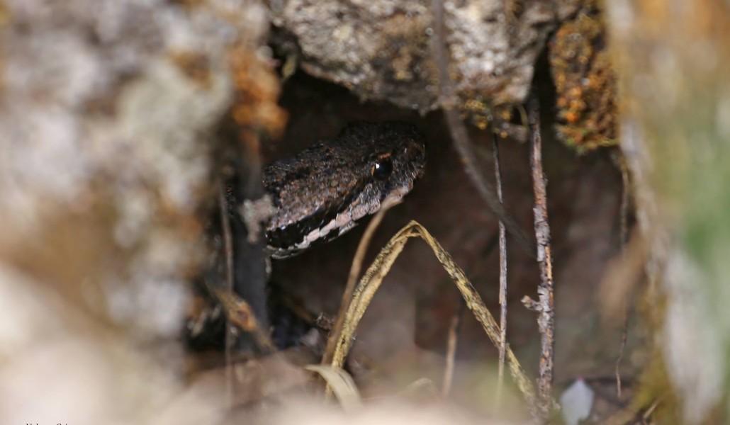 218255137_2796433830605295_6501030969766942131_n