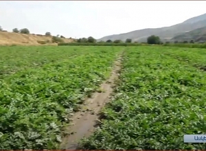 Ավետարանոցի կորստից հետո էլ Ավետարանոցի բնակիչները չեն դադարում աշխատել