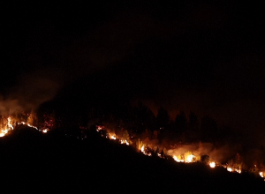 Հունաստանում փորձում են մարել անտառային հրդեհները, որոնք արդեն հասցրել են բազմաթիվ տներ և ֆերմաներ ոչնչացնել