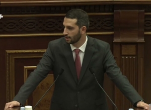 Господин Мамиджанян, прощаю вам ваше некорректное поведение: Рубинян