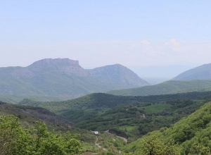 Ադրբեջանական զինծառայողները Սյունիքում 3 գյուղերից գողացել են երեք ընտանիքին պատկանող 8 կով և 1 ցուլ