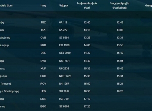 Հայաստանը չի արգելում Դելիից ուղիղ չվերթները, հակառակ մտահոգիչ թվերի