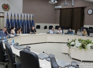 ԱԻՆ փոխնախարարը հանդիպել է Կարմիր խաչի միջազգային կոմիտեի հայաստանյան գրասենյակի պատվիրակությանը