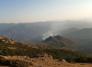 Նռնաձոր գյուղում բռնկված հրդեհը մարվել է