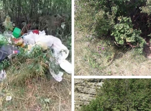 Թռչկանի ջրվեժի հարակից տարածքը մաքրել են աղբից