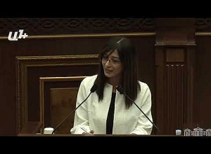 Господин Оганян, по Вашей шкале оценивайте своего сына: Арпи Давоян