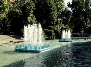 Աղիքային և մաշկային վարակներից խուսափելու համար արգելեք երեխաներին լողալ դեկորատիվ ջրավազաններում