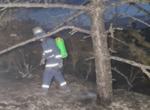 «Ջրվեժ» անտառպարկում բռնկված հրդեհը մեկուսացվել է. ՀՀ ԱԻՆ