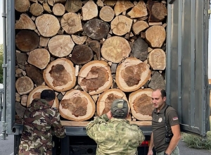 Խոչընդոտել են ապօրինի փայտանյութով բեռնված մեքենայի տեղափոխումը հատուկ պահպանվող տարածք