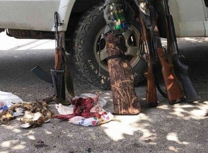 Որսագողության ու ապօրինի փայտանյութի տեղափոխման դեպքեր՝ վերջին 5 օրում