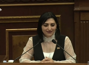 Рубинян отреагировал на обращение Арама Вардеваняна к вчерашнему инциденту