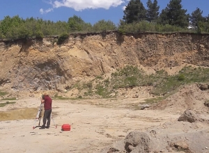 Անտառային հողերը ապօրինի դուրս են բերվում․ նյութեր են ուղարկվել դատախազություն