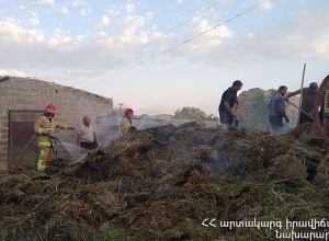 Այրվել է մոտ 870 հակ անասնակեր