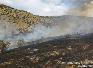 Ուրցաձոր գյուղի մոտ այրվում է բուսածածկ տարածք