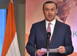 Հայաստանը շնորհակալ է Հնդկաստանի կառավարությանը. Արմեն Գրիգորյան