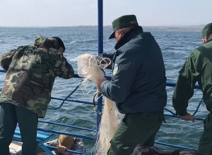 Հերթապահություն՝ Սևանա լճում․ առգրավված ձկնորսական ցանցերը ոչնչացվել են