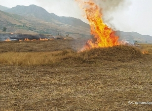 Պառավաքար գյուղի «Վալտերի ֆերմա» կոչվող հանդամասում այրվել է  մոտ 12 հա խոտածածկույթ