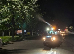 Այս գիշեր բուժում կստանան Նոր Նորքի մի քանի փողոցների բույսերը․ խնդրվում է փակ պահել պատուհանները